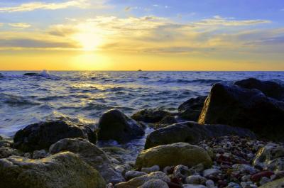 Прикрепленное изображение: Херсонес голубой (Копировать) (Копировать).JPG